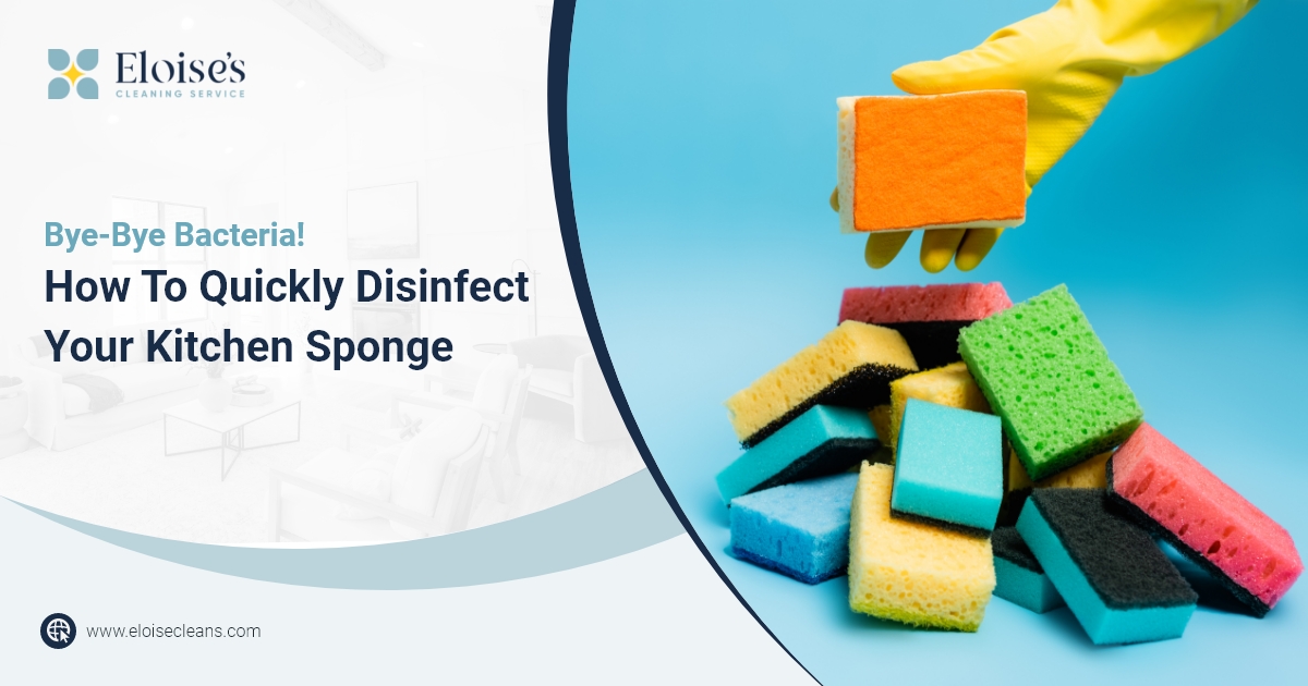 ByeBye Bacteria! How To Quickly Disinfect Your Kitchen Sponge Eloise